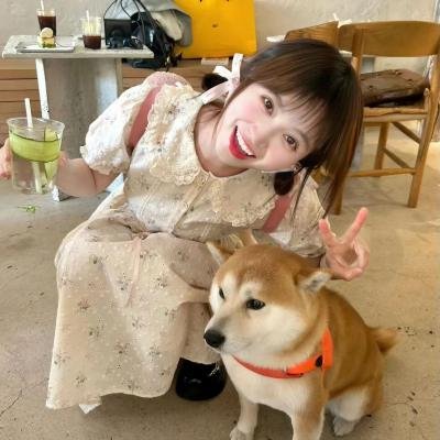 人鱼小姐